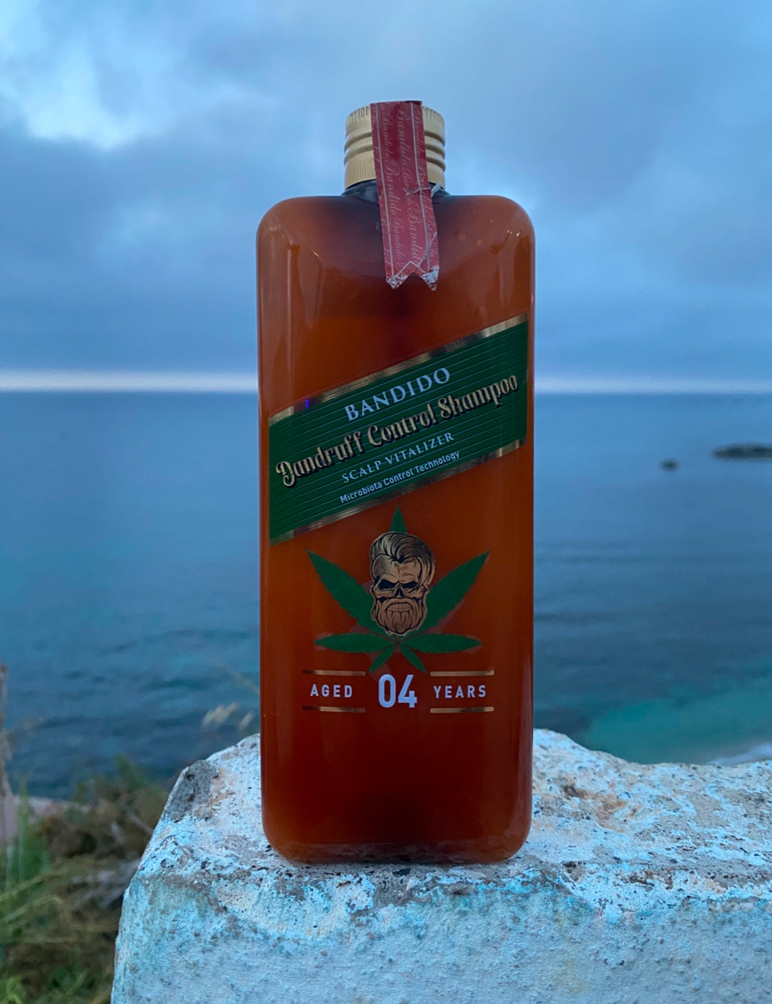 ✨ 𝐁𝐀𝐍𝐃𝐈𝐃𝐎 𝐒𝐇𝐀𝐌𝐏𝐎𝐎 𝟎𝟒 ✨