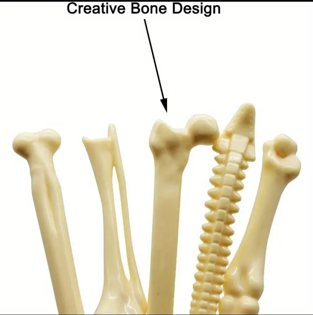 🦴💉Medical Pen Pack